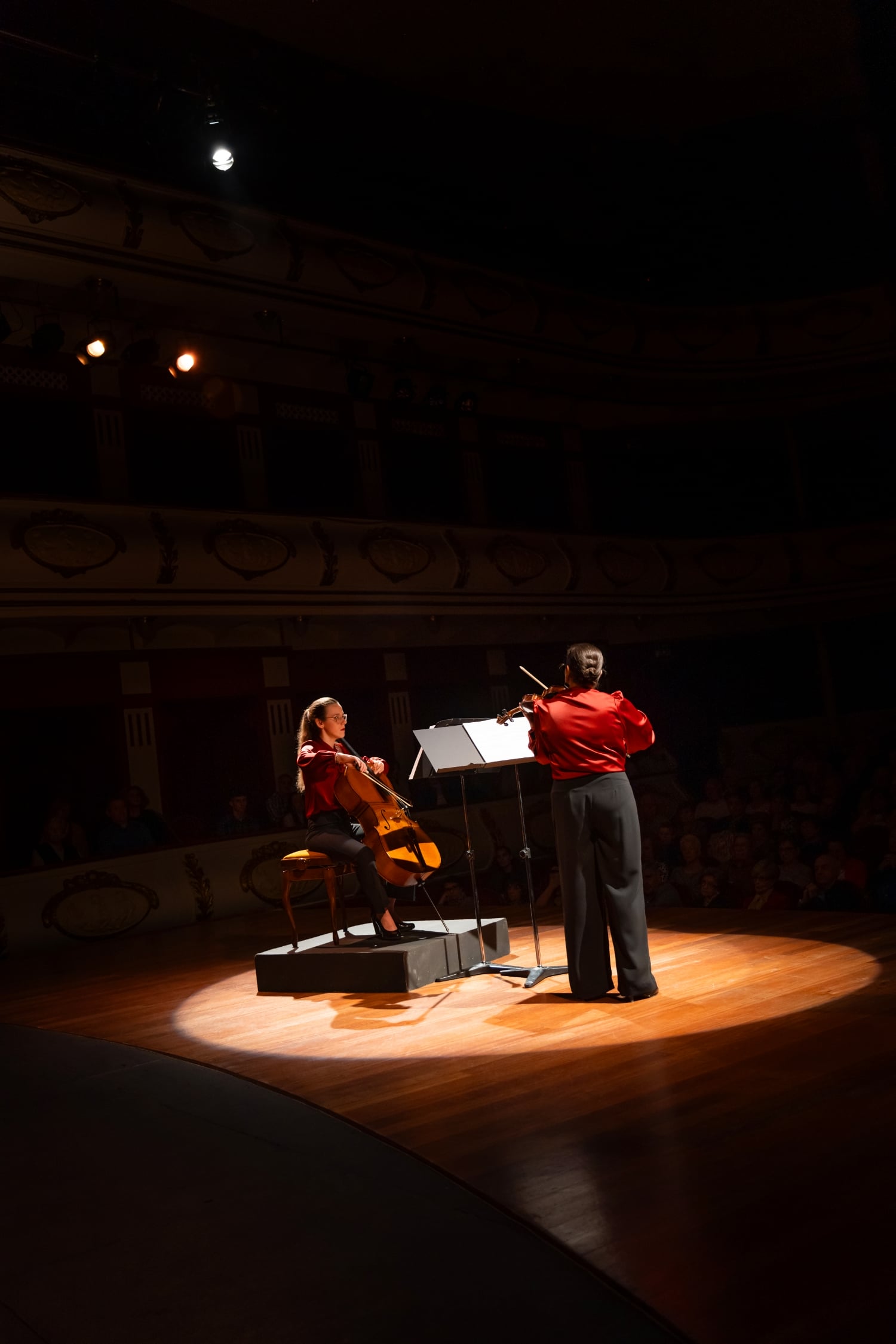 concierto en directo